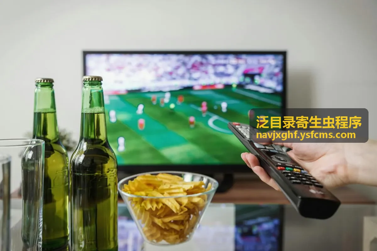泛目录小说异常目录检查示意