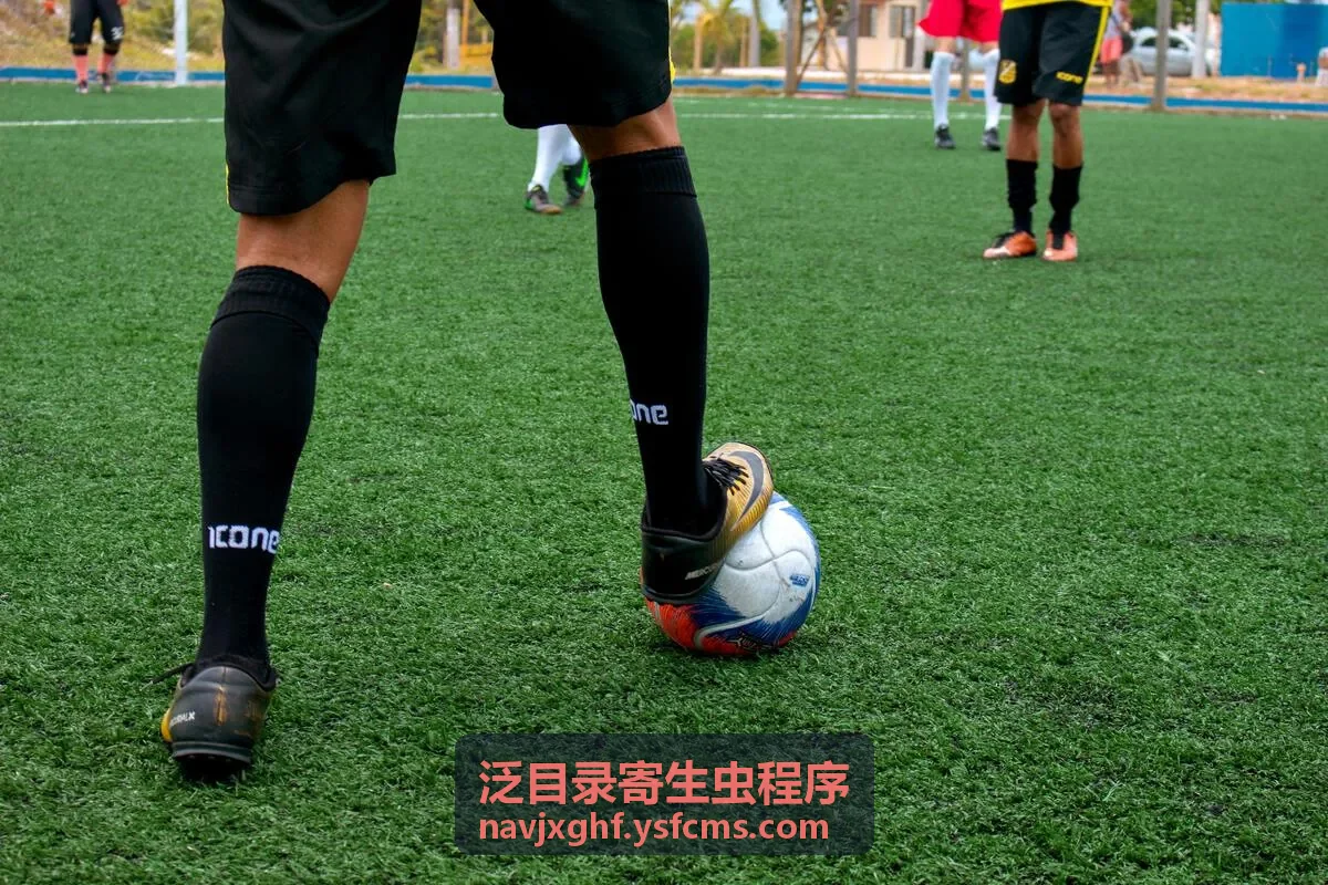 泛目录小说陌生页面收录排查
